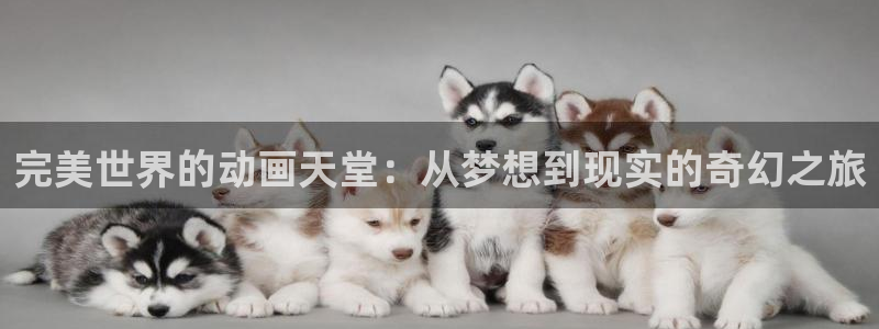 歪歪动漫首页进入：完美世界的动画天堂：从梦想到现实的奇幻之旅